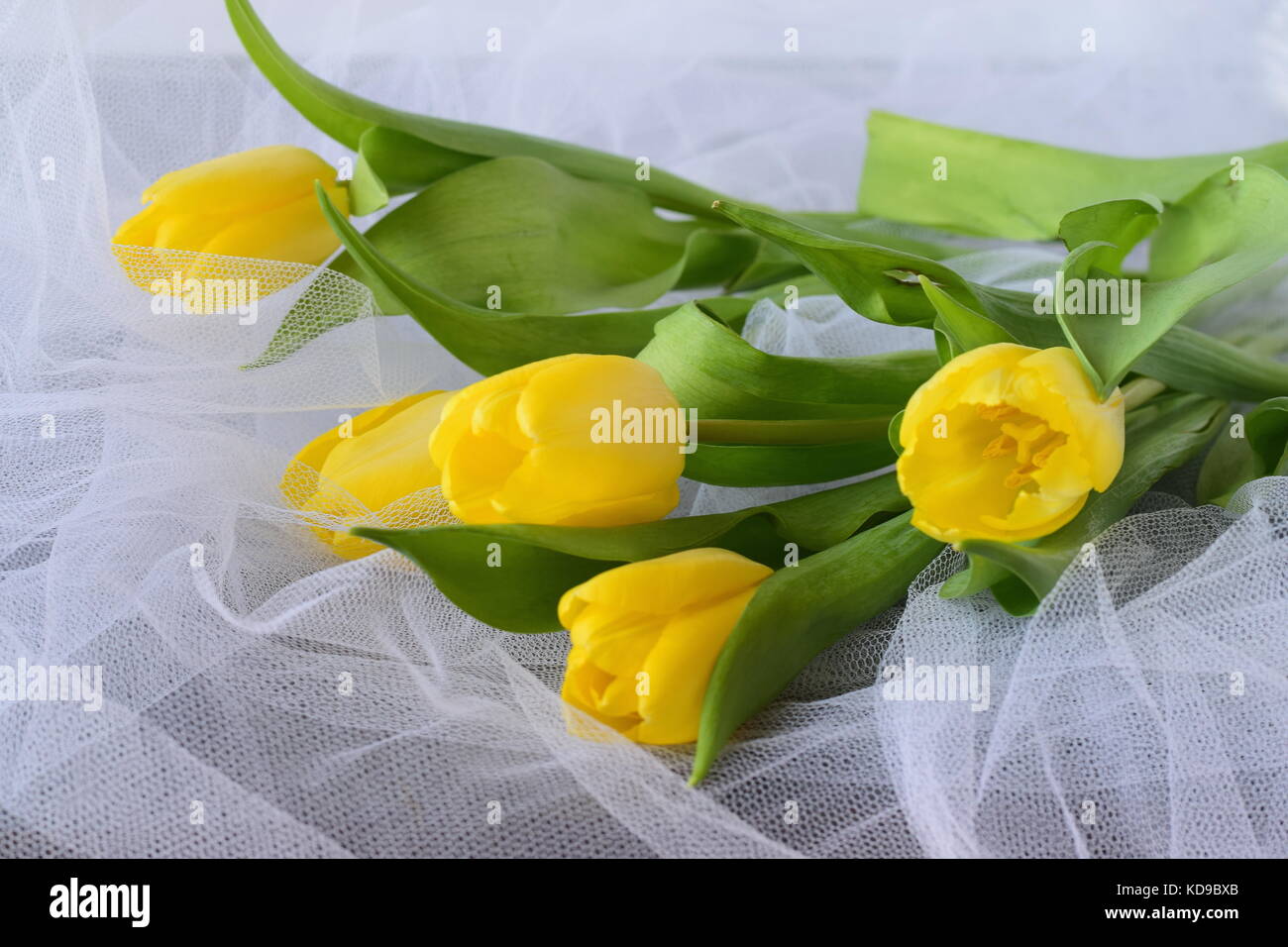 Gelbe Tulpen auf einem weißen Tuch luftige Textur Stockfoto