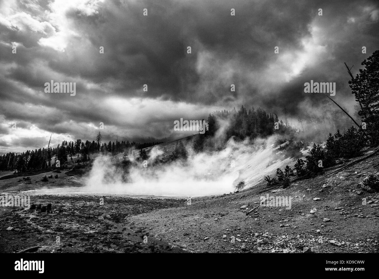Schlammvulkan, Yellowstone National Park, Wyoming Stockfoto