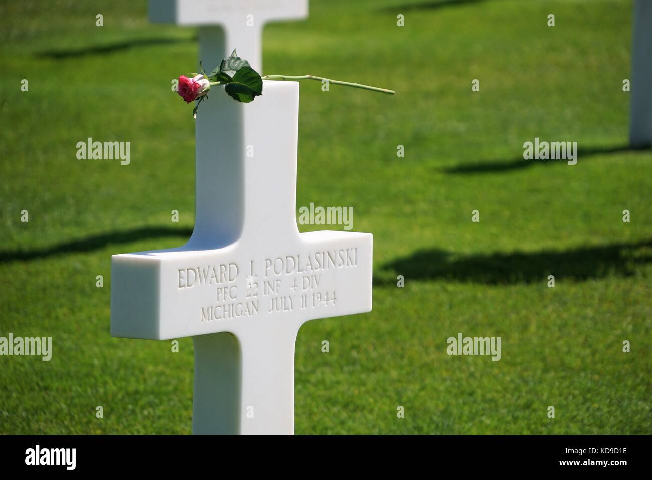 2. Weltkrieg Gedenkstätte weiße Kreuze dekoriert mit pink rose auf Gras mit Bäumen im Hintergrund Stockfoto