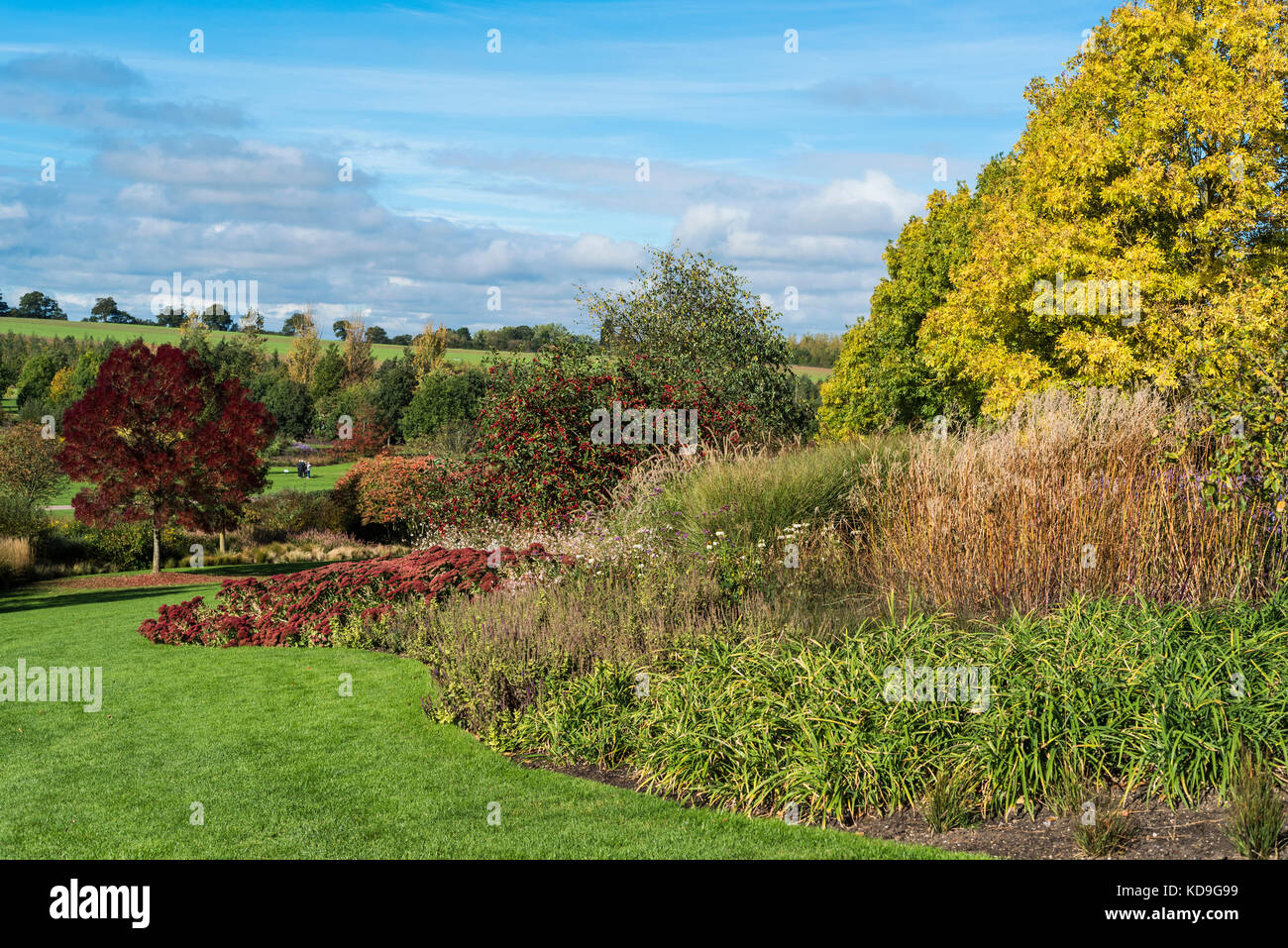 RHS Hyde Hall Herbstfarbe, saisonale Grenzen, Blumenbeete. Stockfoto