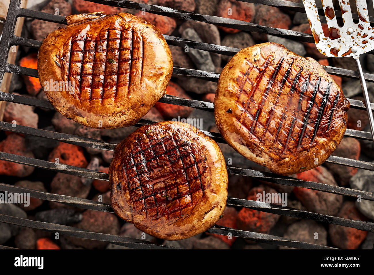 Honig balsamico Pilz Steaks Stockfoto