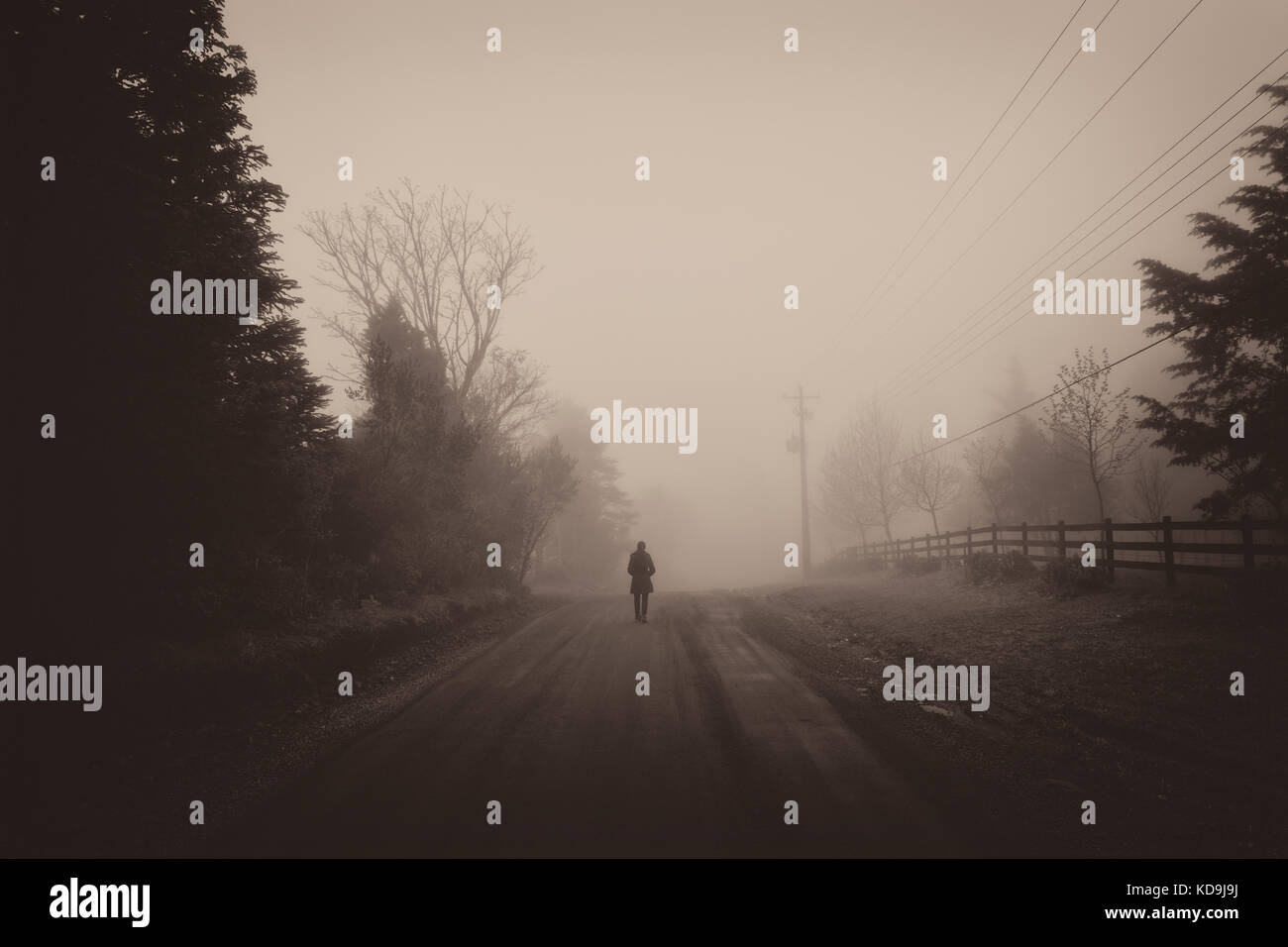 Einsamer Wanderer Stockfoto