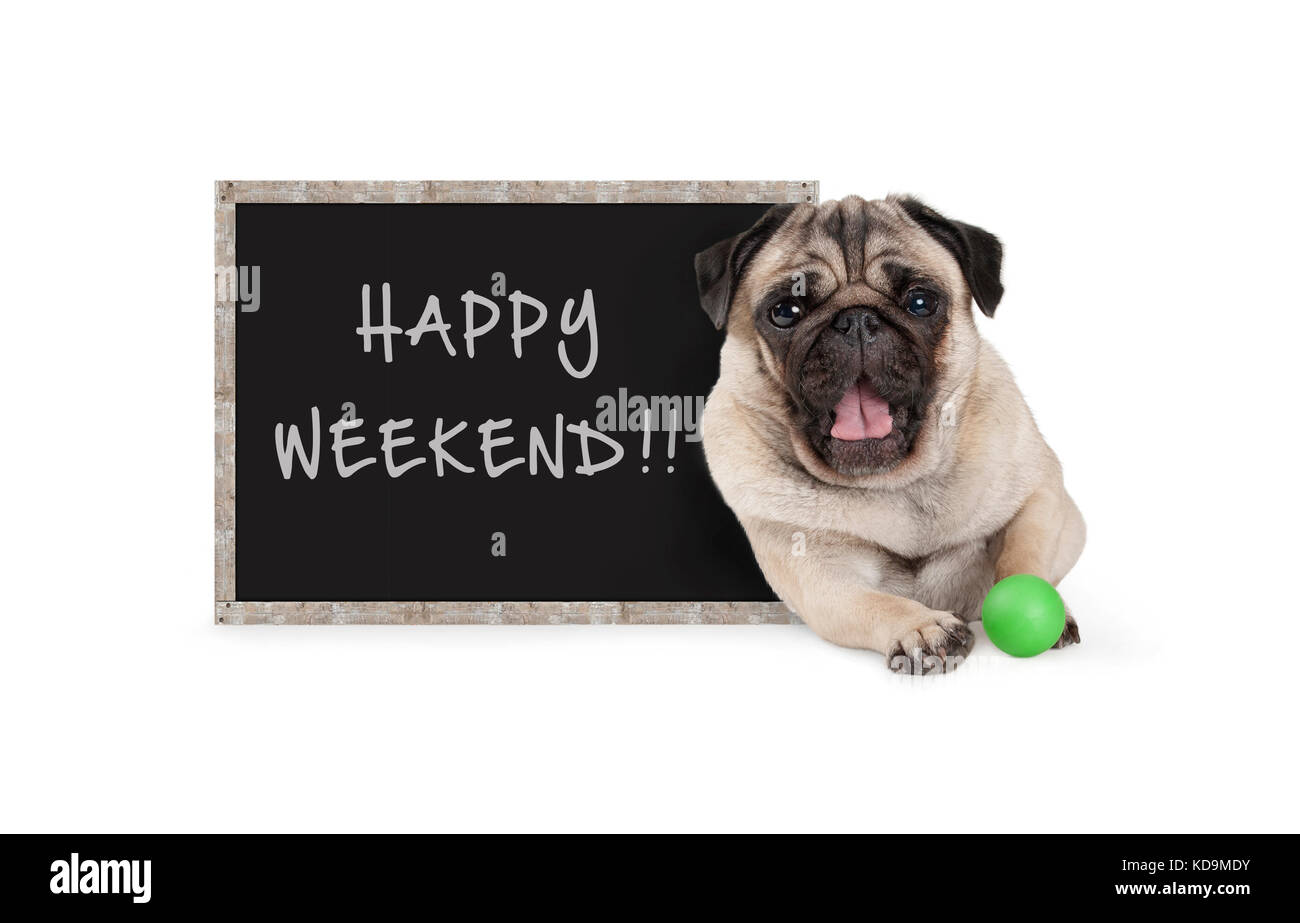 Cute glücklich Mops Welpen Hund mit grünen Ball und blackboard Schild mit Text happy weekend, auf weißem Hintergrund Stockfoto