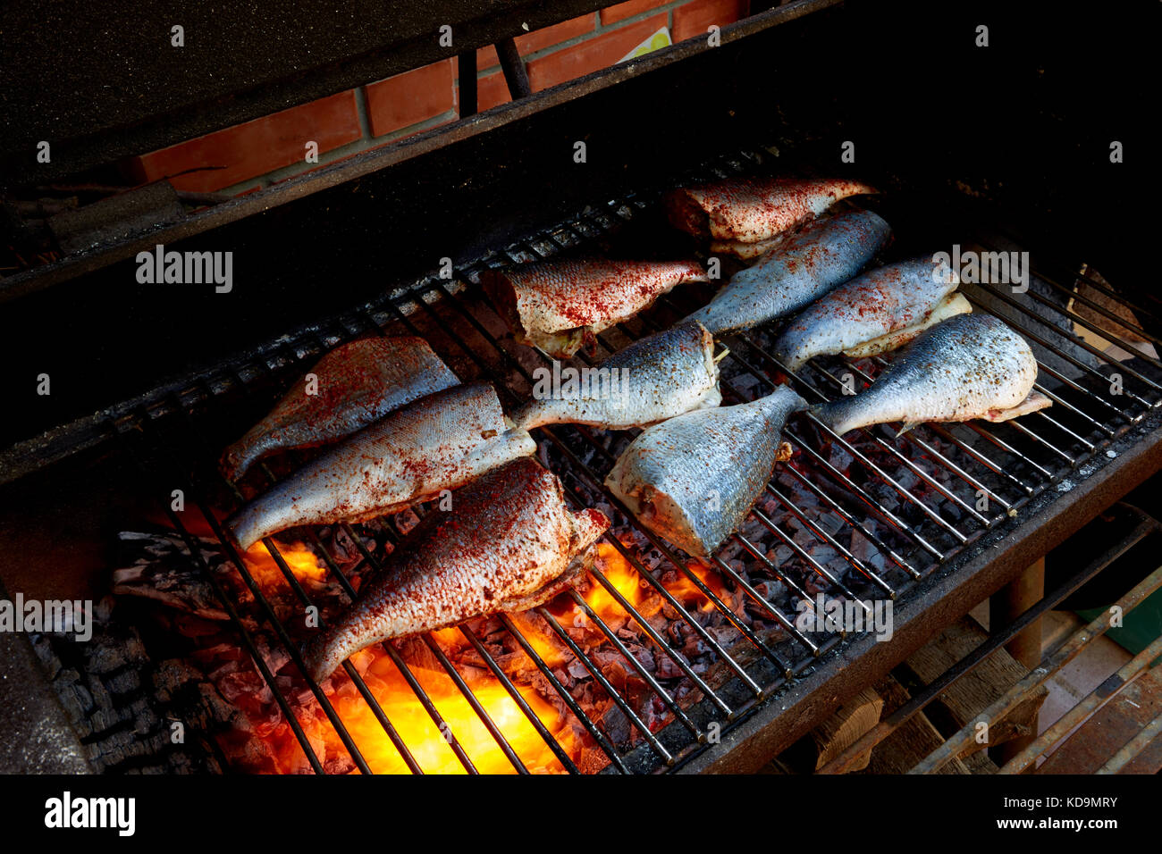 Kochen frische Forelle und Goldbrasse auf einem Grill. Stockfoto