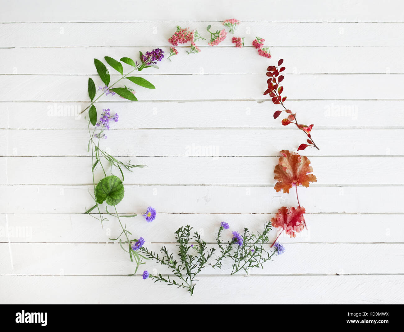 Retro Blumen Rahmen auf weißem Holz Hintergrund. Stockfoto