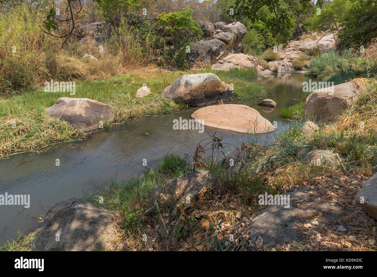 Fließende Fluss mit Felsen und Vegetation in Afrika. lubango. Angola. Stockfoto
