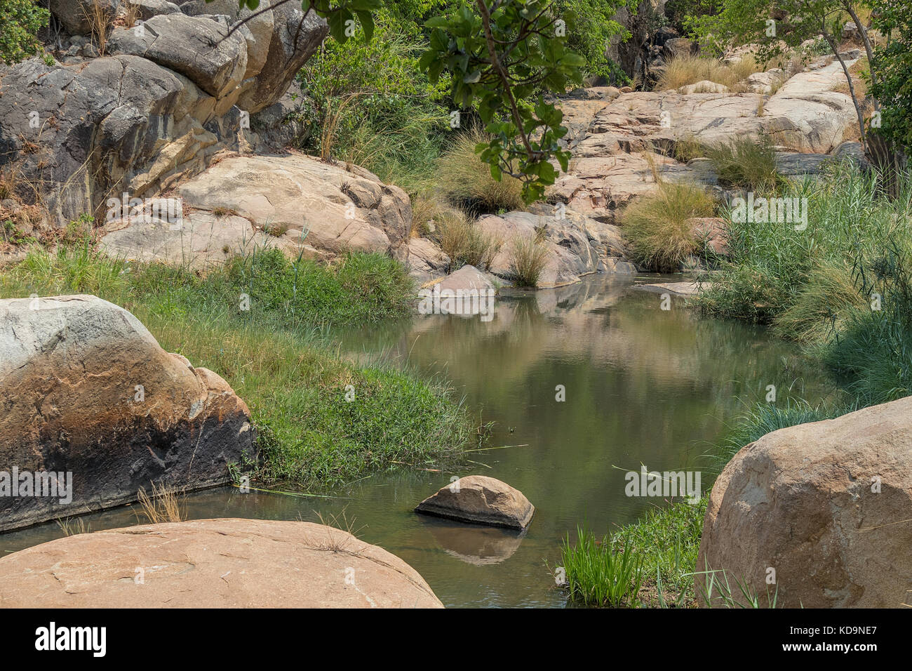 Fließende Fluss mit Felsen und Vegetation in Afrika. lubango. Angola. Stockfoto