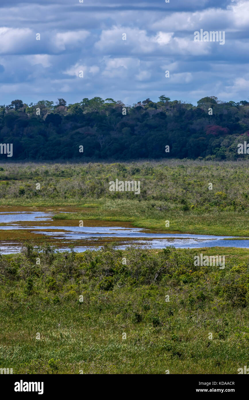 'Paisagem (Cenário) fotografado em Linhares, Espírito Santo - Sudeste do Brasil. Bioma Mata Atlântica. Registrierung für 2013. ENGLISCH: Landscapes Stockfoto