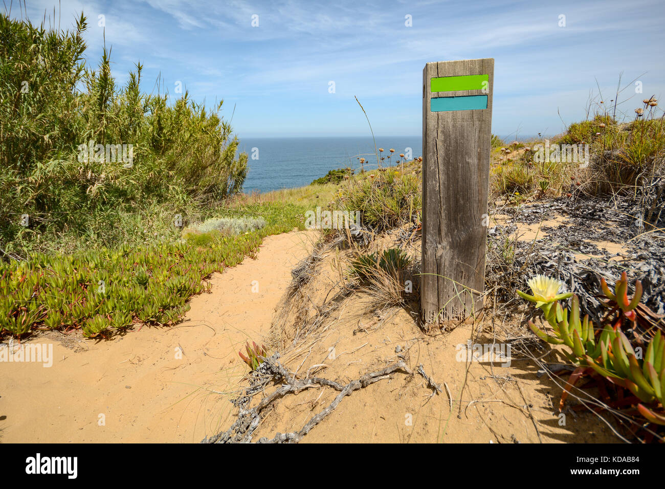 Wanderweg Rota Vicentina von Odeceixe nach Zambujeira do Mar durch Alentejo Landschaft, Portugal Stockfoto