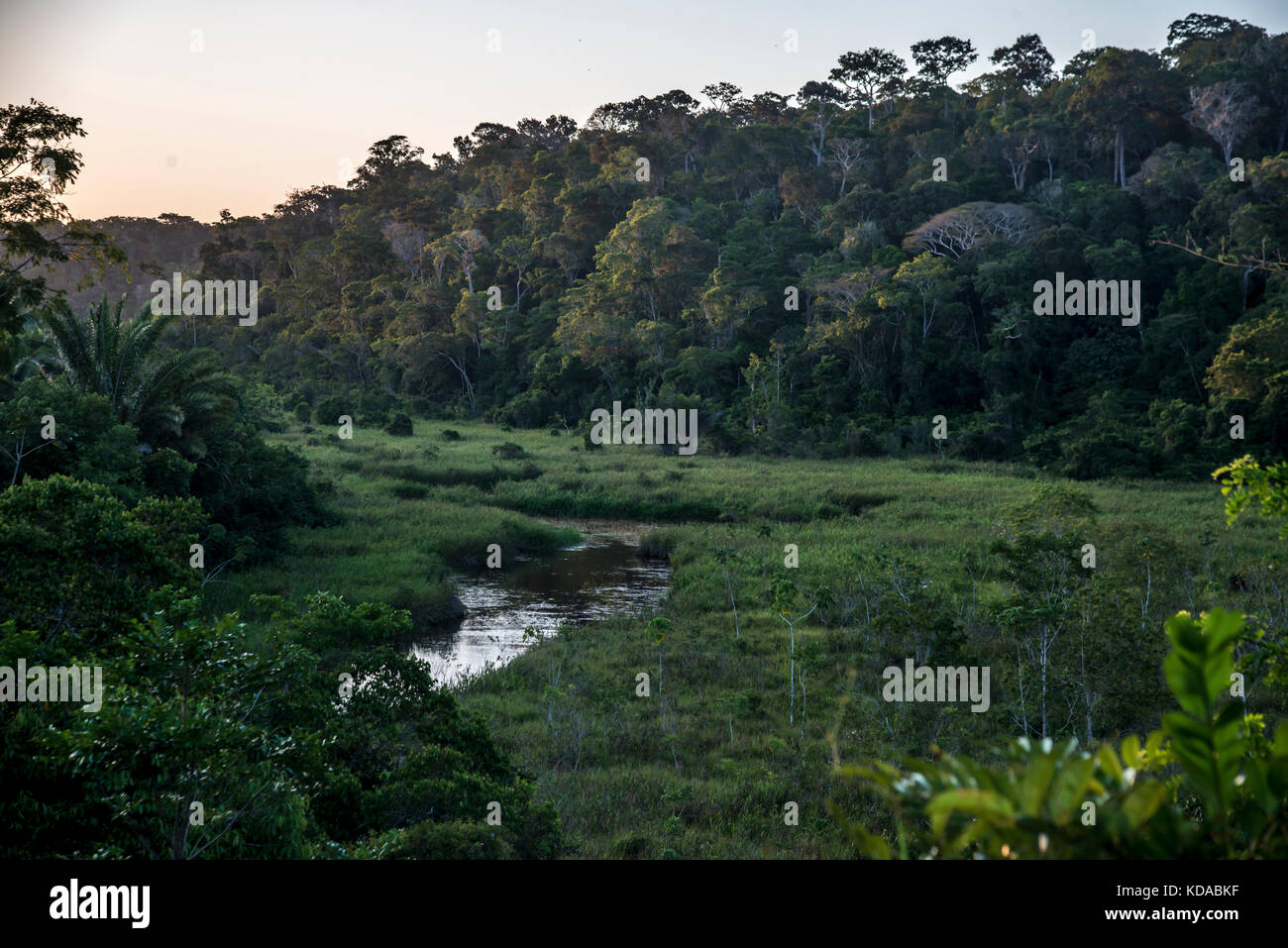 'Rio (paisagem) fotografado em Linhares, Espírito Santo - Sudeste do Brasil. Bioma Mata Atlântica. Registrierung für 2015. ENGLISCH: River Landsc Stockfoto