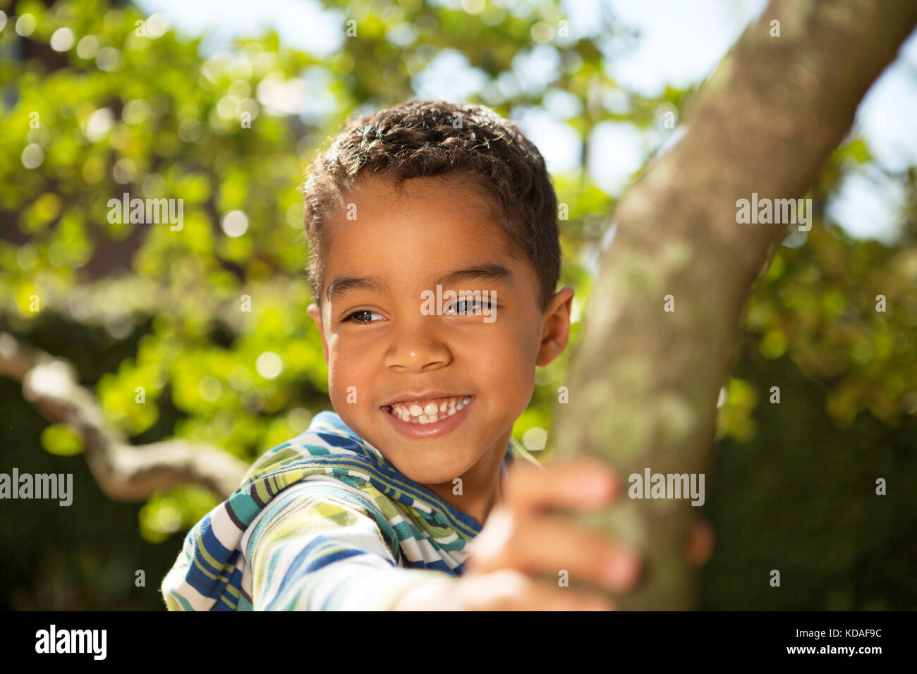 Little Boy spielen in einem Baum. Stockfoto