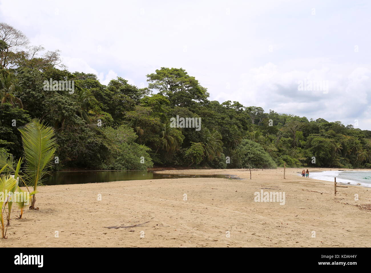 Playa Punta Uva, Puerto Viejo, Limón Province, Karibik, Costa Rica, Mittelamerika Stockfoto