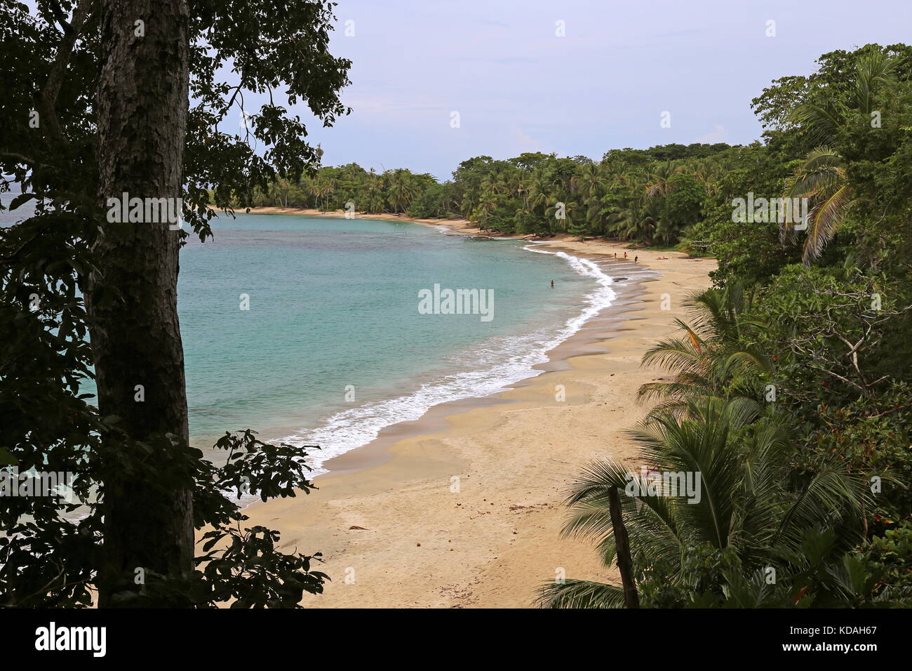 Playa Punta Uva-Arrecife von Punta Uva, Puerto Viejo, Limón Province, Karibik, Costa Rica, Mittelamerika Stockfoto