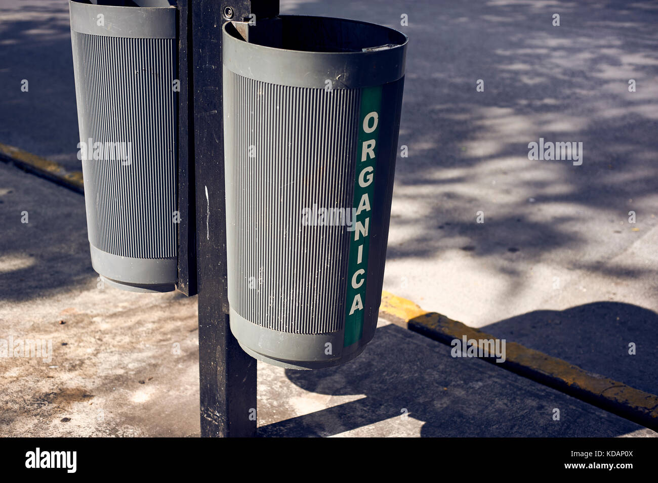 Organische und anorganische Abfalleimer am Paseo de Montejo Avenue in Merida, Yucatan, Mexiko Stockfoto