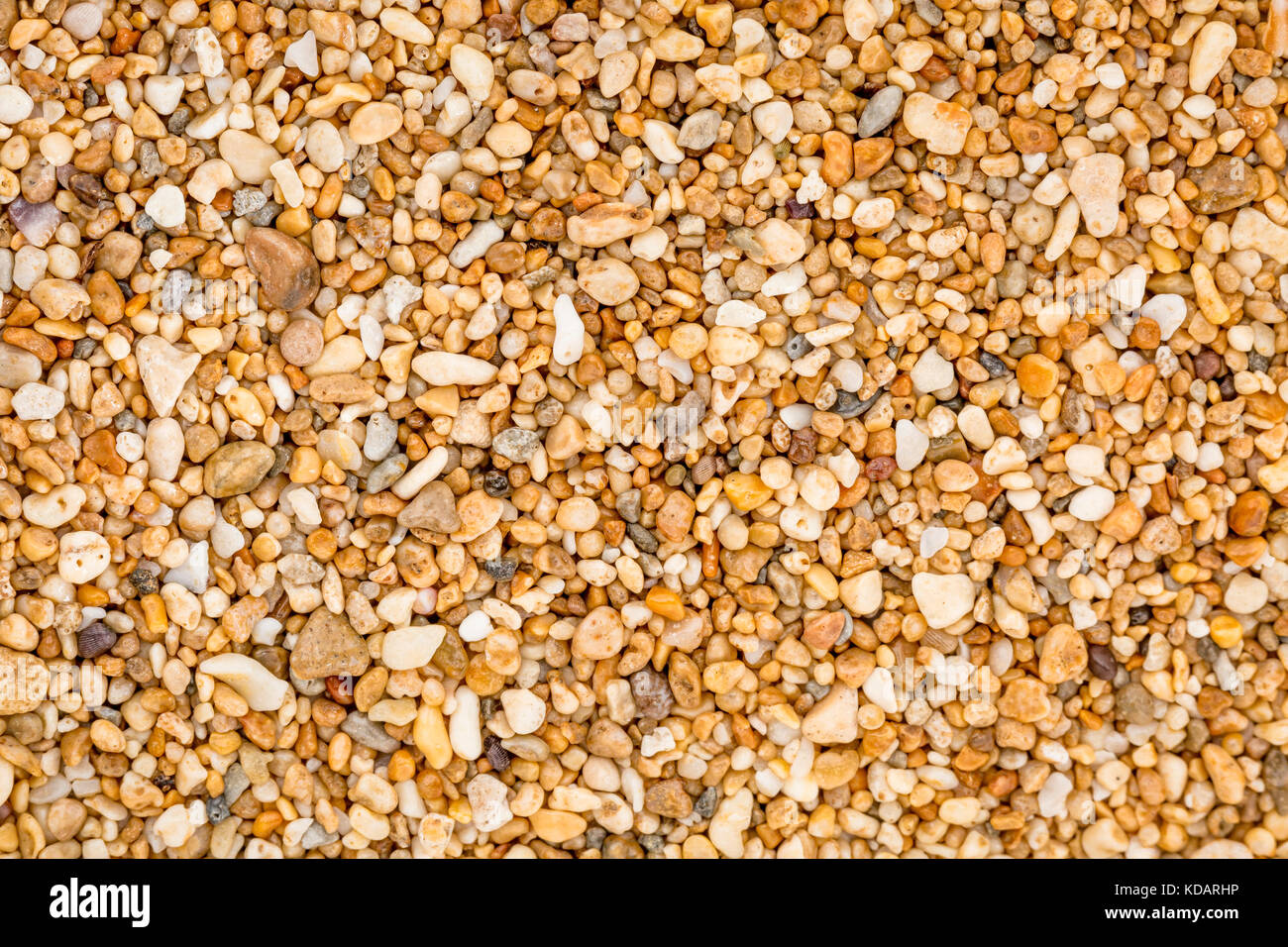 Leben Größe Makro von bunten sand Korn von Kauai Sands Hotel Beach, Kauai, Hawaii Stockfoto