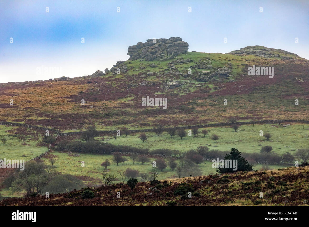 Saddle Tor, Dartmoor, Devon, England, Vereinigtes Königreich Stockfoto