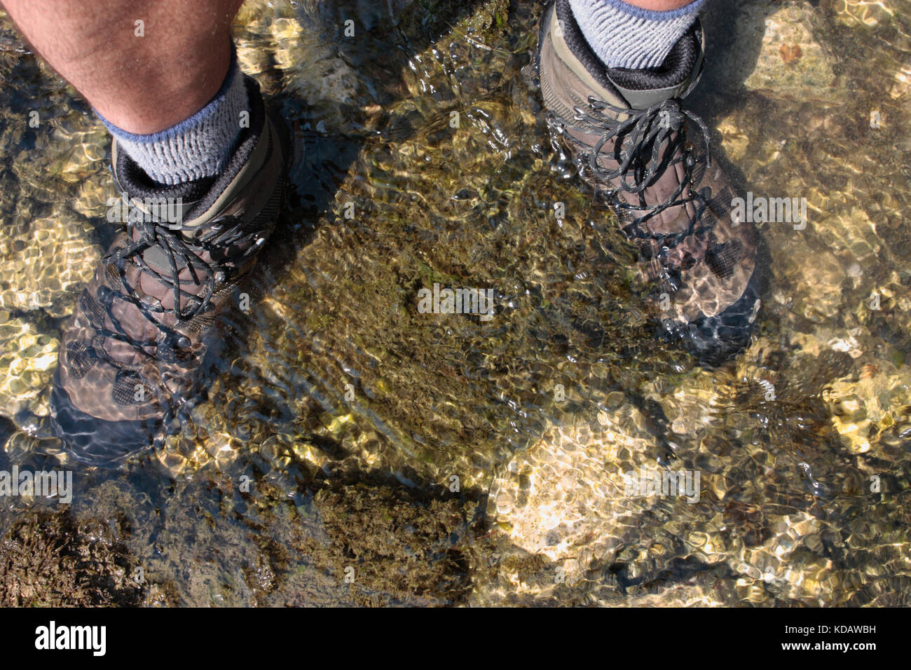 Männliche Wanderer das Waten im seichten Wasser und veranschaulicht den Wert der wasserdichte Wanderschuhe Stockfoto