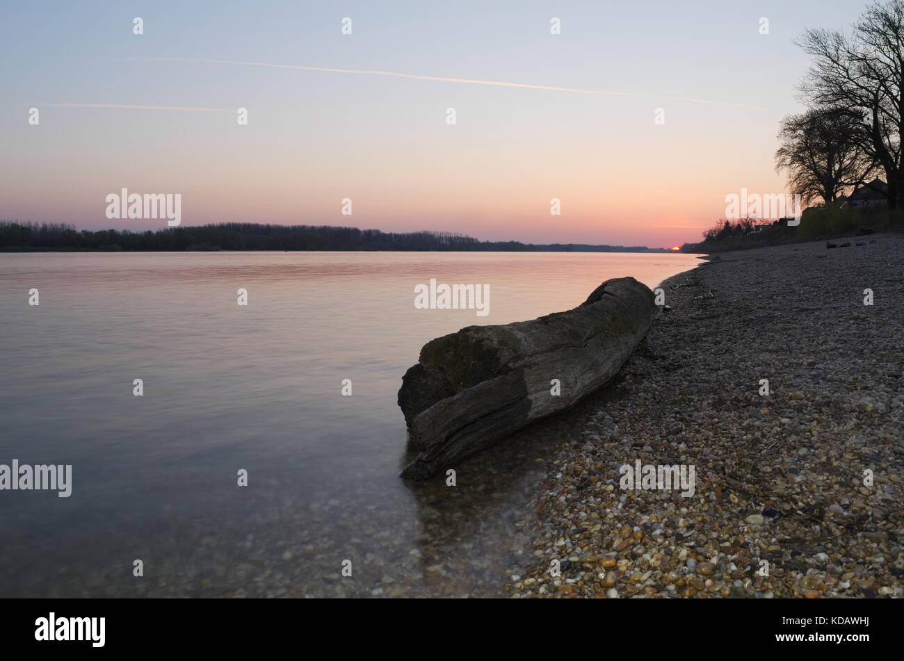 Treibholz an der Donau Ufer im Sunrise anmelden Stockfoto
