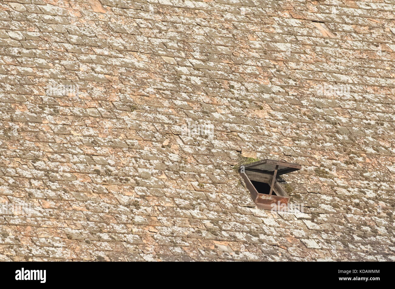 Kleinen Dach Fenster auf die texturierte Dach Stockfoto