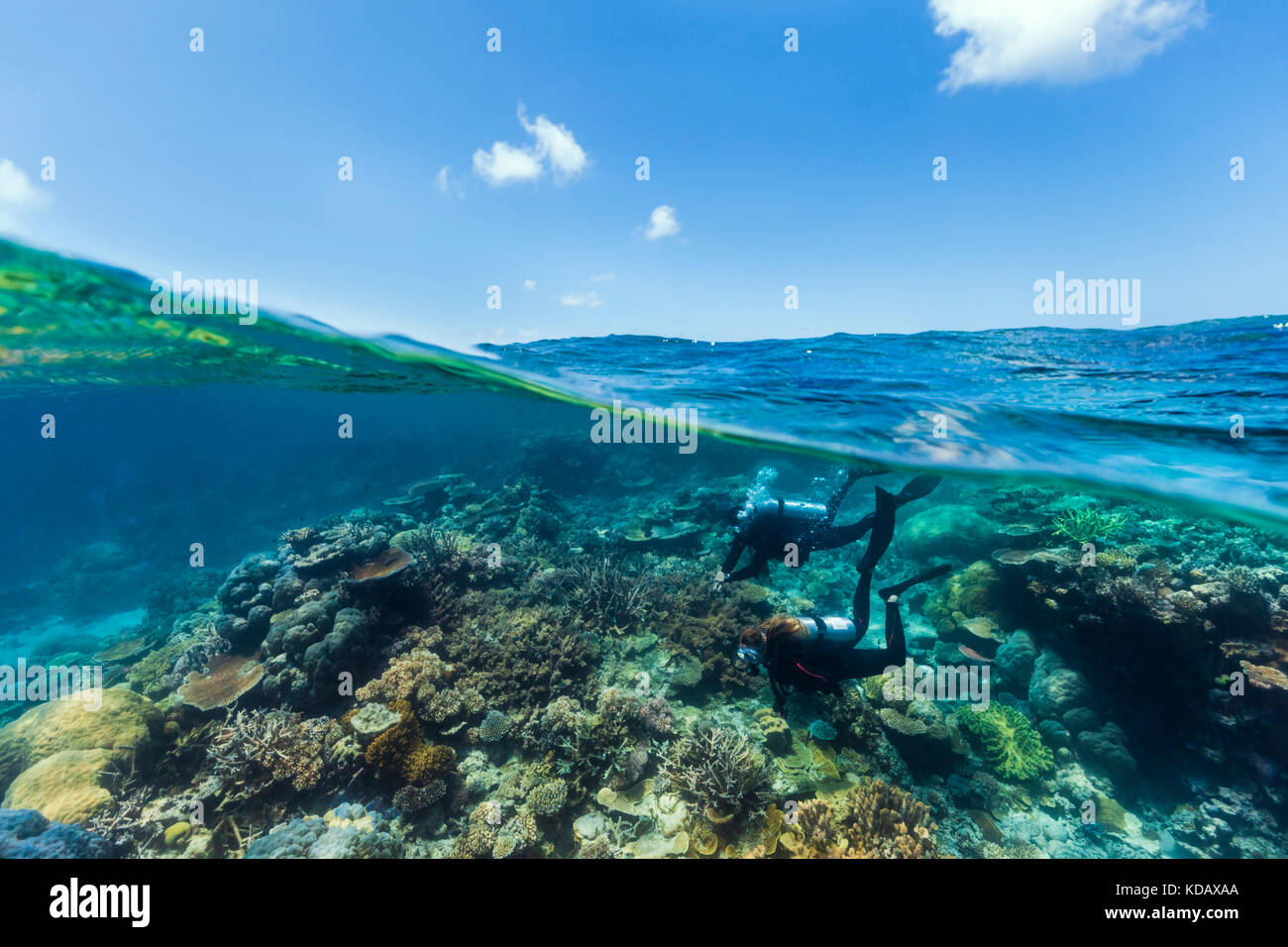 Split shot von Tauchern erkundet die Korallenformationen von Agincourt Reef, Great Barrier Reef Marine Park, Port Douglas, Queensland, Australien Stockfoto