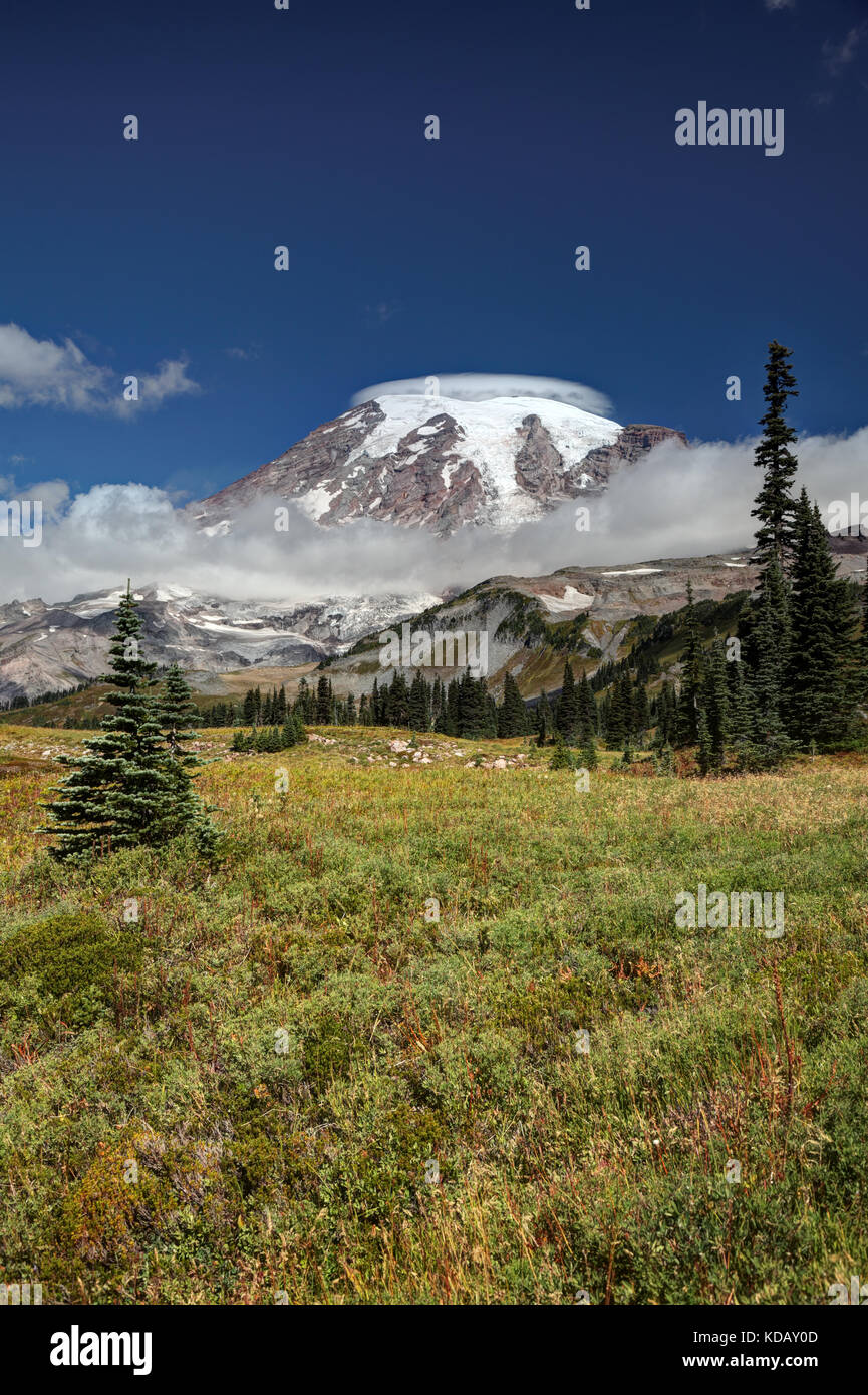 Subalpine Wiese am Mazama Ridge, Mount Rainier National Park, Washington, USA Stockfoto