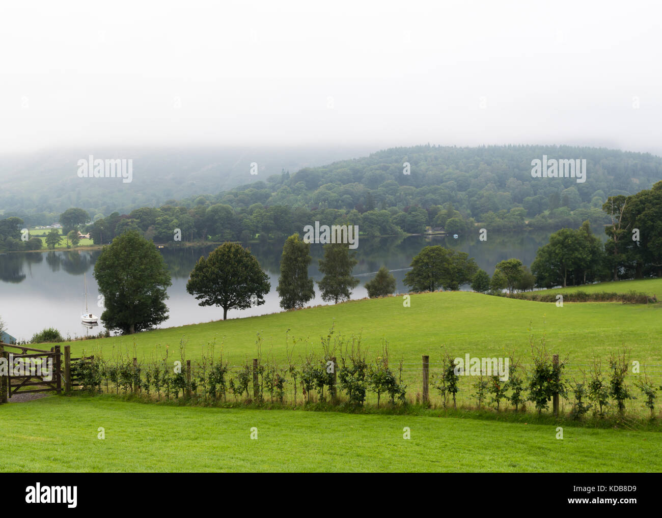 Eine Ansicht von Coniston Water an einem nebligen Morgen im Lake District, England. Stockfoto