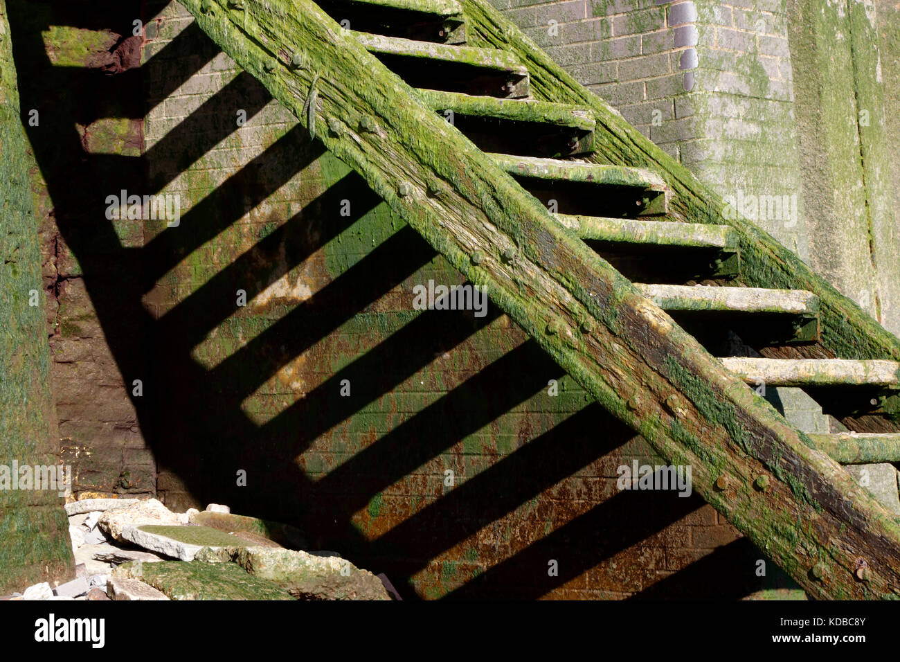 Stufen hinunter zum Ufer der Themse in rotherhithe, London, UK Stockfoto