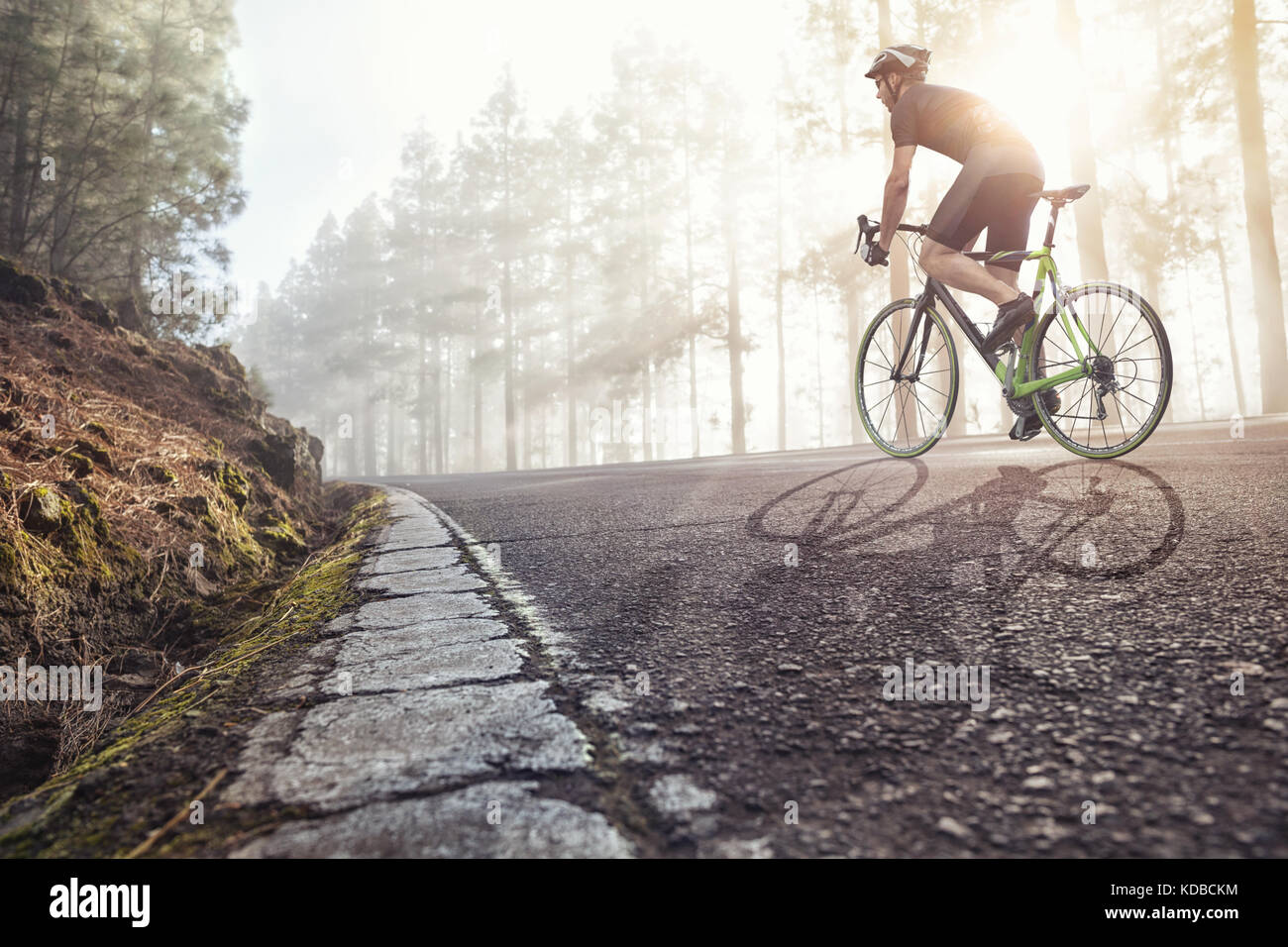 Radfahrer auf der Straße in einer nebligen Wald Stockfoto