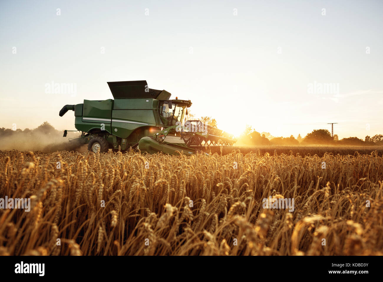 Mähdrescher ernten Auf einem Weizenfeld Stockfoto