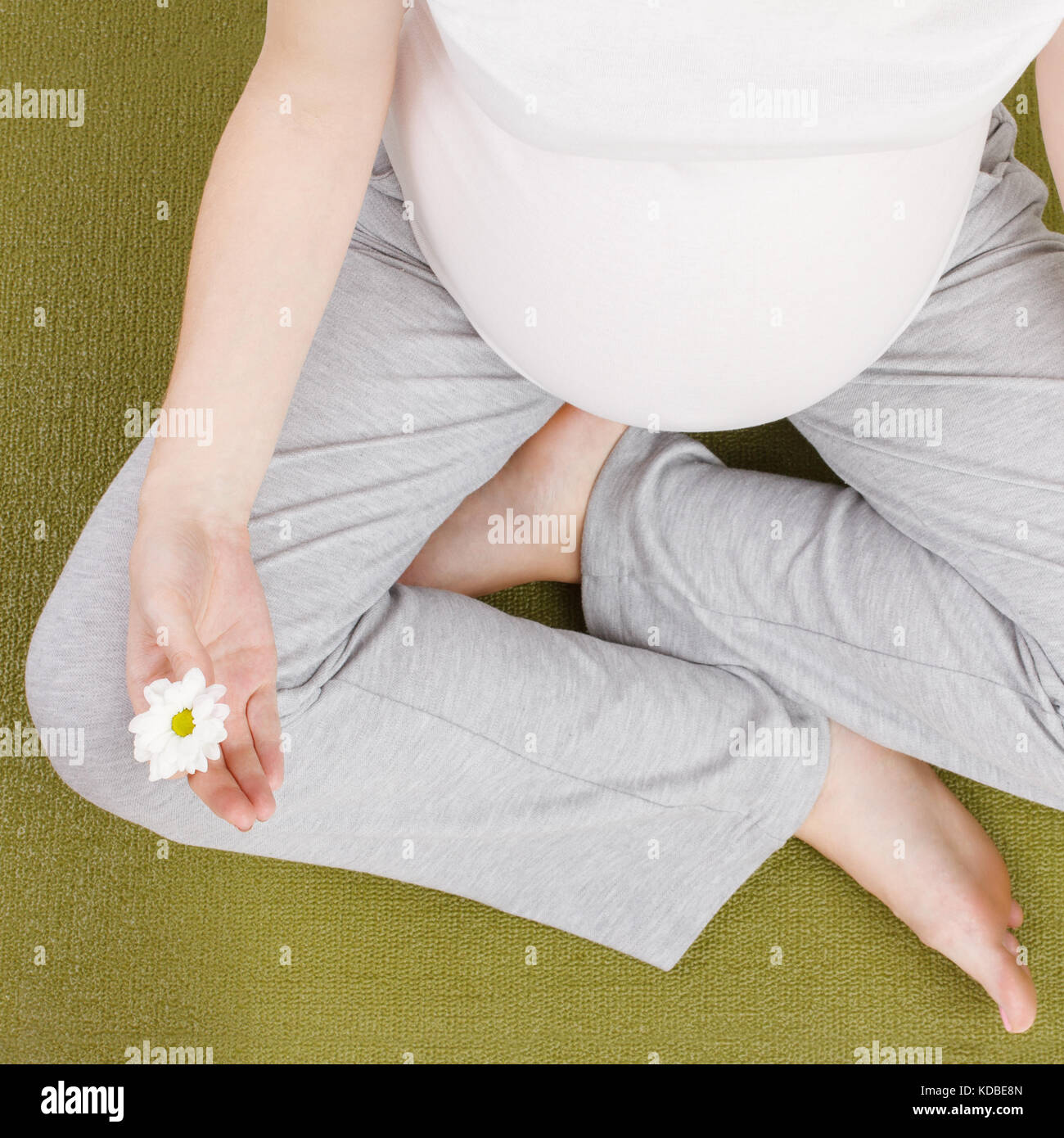 Blick von oben auf die schwangere Frau mit Blume Stockfoto