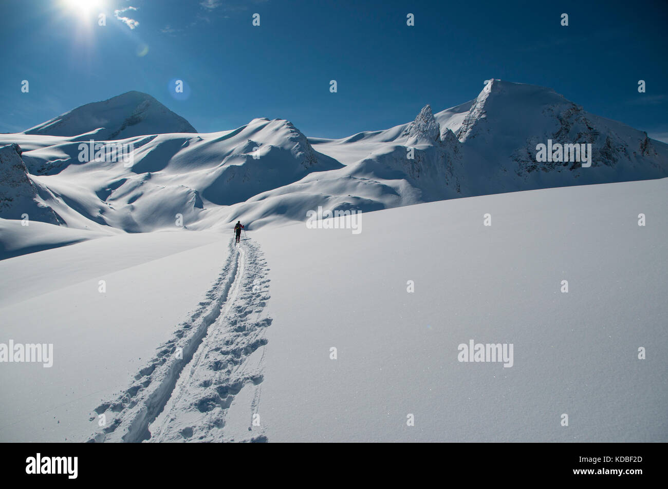Solo zurück - Langläufer aufsteigend in Richtung Mount Baker, kanadische Rockies, Britisch Kolumbien, Kanada Stockfoto