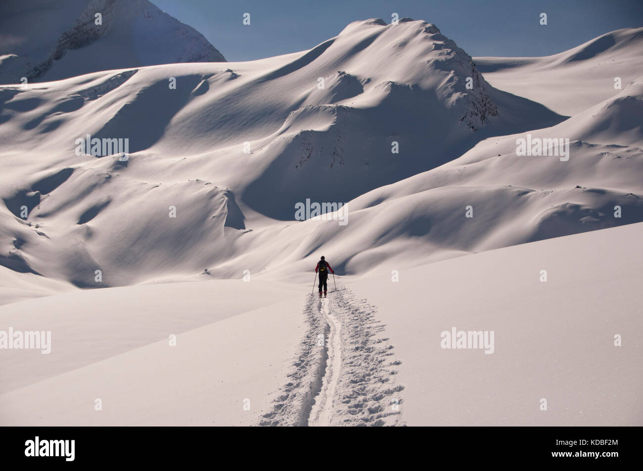 Solo zurück - Langläufer aufsteigend in Richtung Mount Baker, kanadische Rockies, Britisch Kolumbien, Kanada Stockfoto