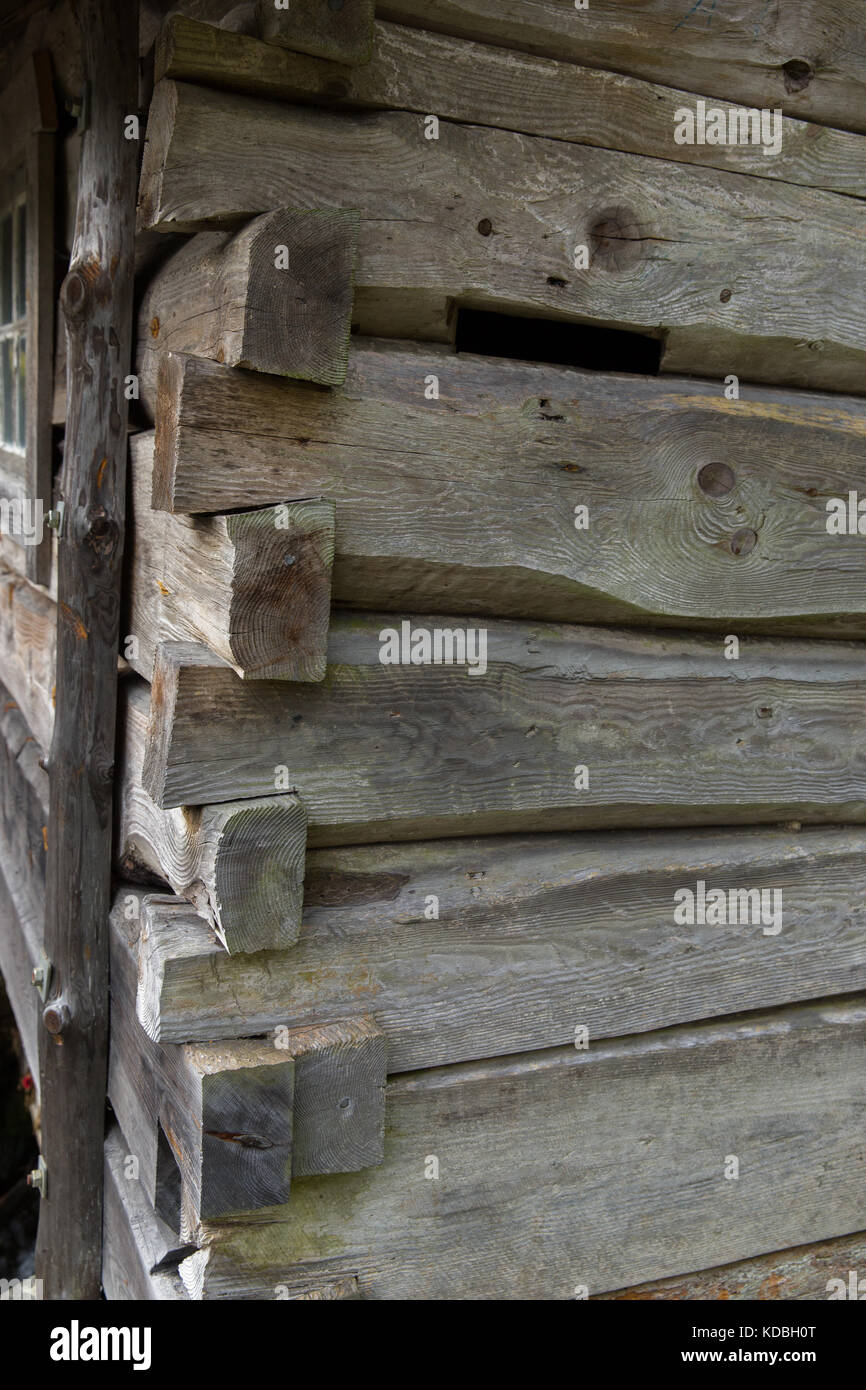Eine ramshackled shack in einem Waldgebiet Stockfoto