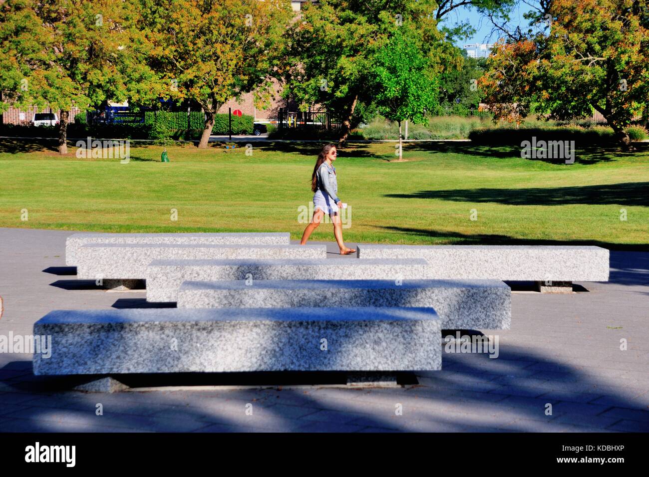 Ein Kursteilnehmer an der Universität von Illinois in Chicago Campus in der Nähe der Innenstadt von Chicago, nur im Südwesten der Schleife. Chicago, Illinois, USA. Stockfoto