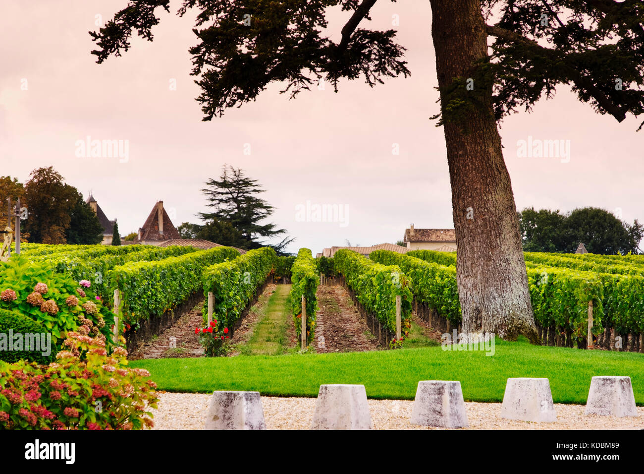 Weingut Gebäude. Chateau Petrus, Pomerol. Bordeaux Wein Region. Region Aquitanien, Gironde Abteilung. Frankreich Europa Stockfoto