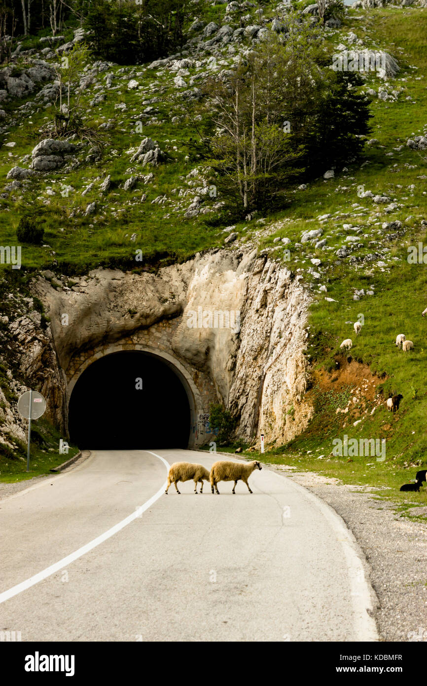 Der Tunnel auf leere Straße in Montenegro Stockfoto
