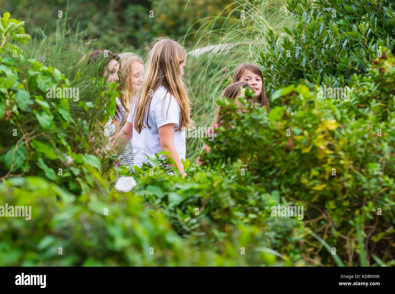 Gruppe von jungen Mädchen zusammen zu Fuß in einem Park in Großbritannien. Stockfoto