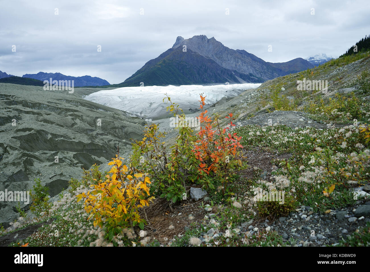 Zusammenfluss von Kennicott (l) und Root Gletscher, Autun, Wrangell-Saint Elias National Park, Alaska Stockfoto
