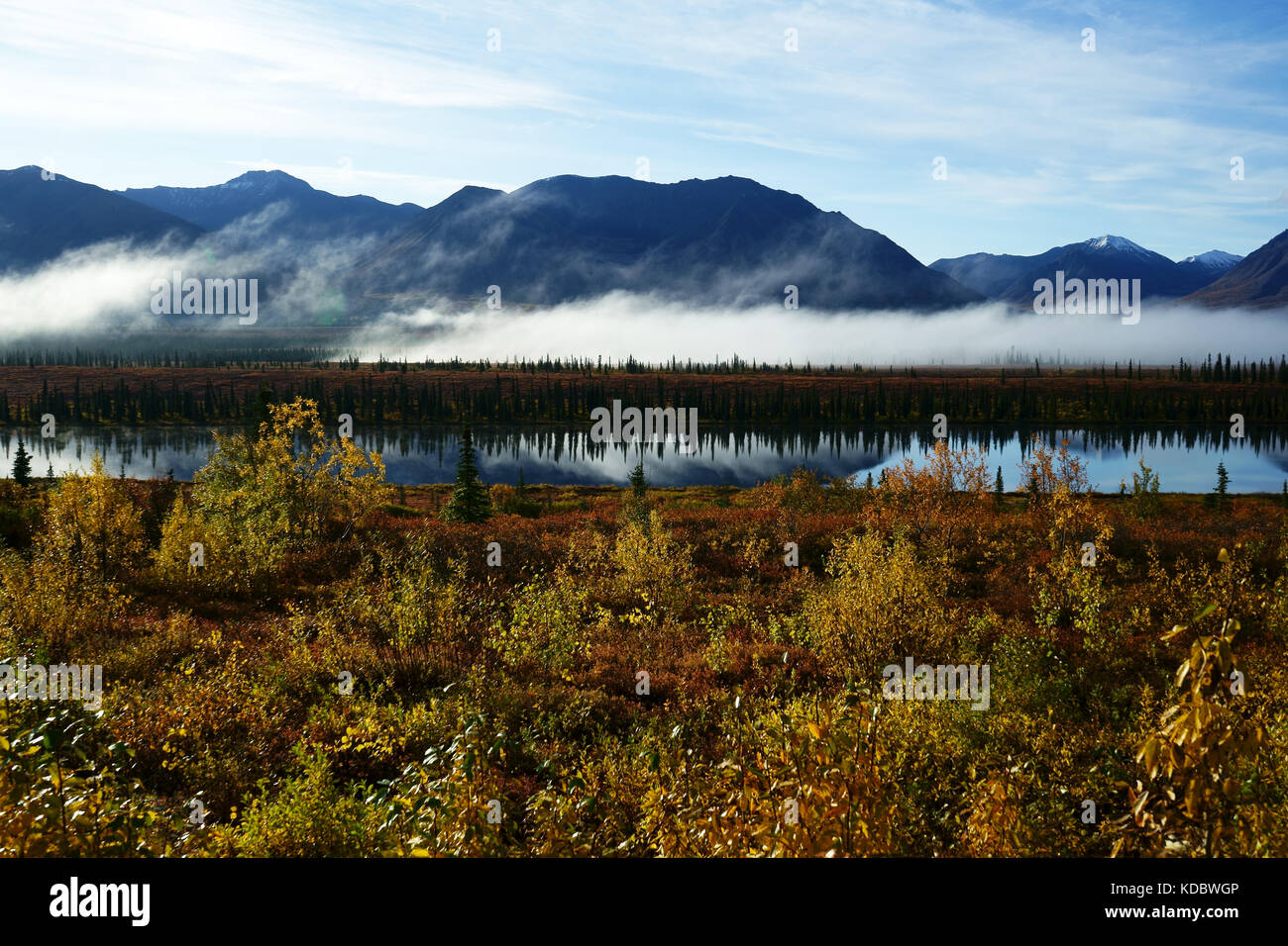 Herbstfarben am breiten Weg entlang Prks Highway südlich von Cantwell, Alaska Stockfoto