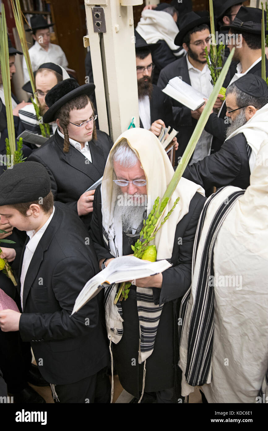 Einen religiösen Jüdischen Mann, der betet an Sukkot mit einem esrog und lulav. In einer Synagoge in Brooklyn, New York. Stockfoto