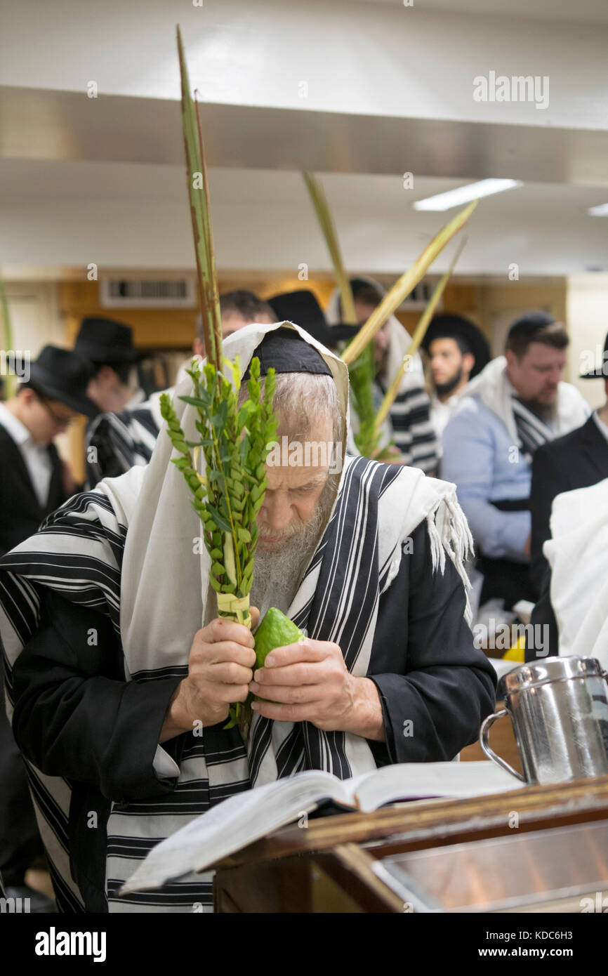 Einen religiösen Jüdischen Mann, der betet an Sukkot mit einem esrog und lulav. In einer Synagoge in Brooklyn, New York. Stockfoto