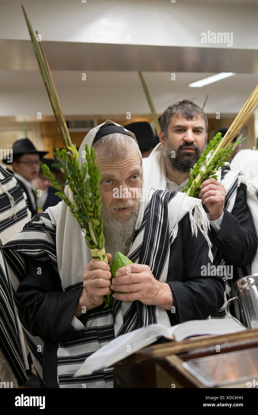 Einen religiösen Jüdischen Mann, der betet an Sukkot mit und esrog und lulav. In einer Synagoge in Brooklyn, New York. Stockfoto
