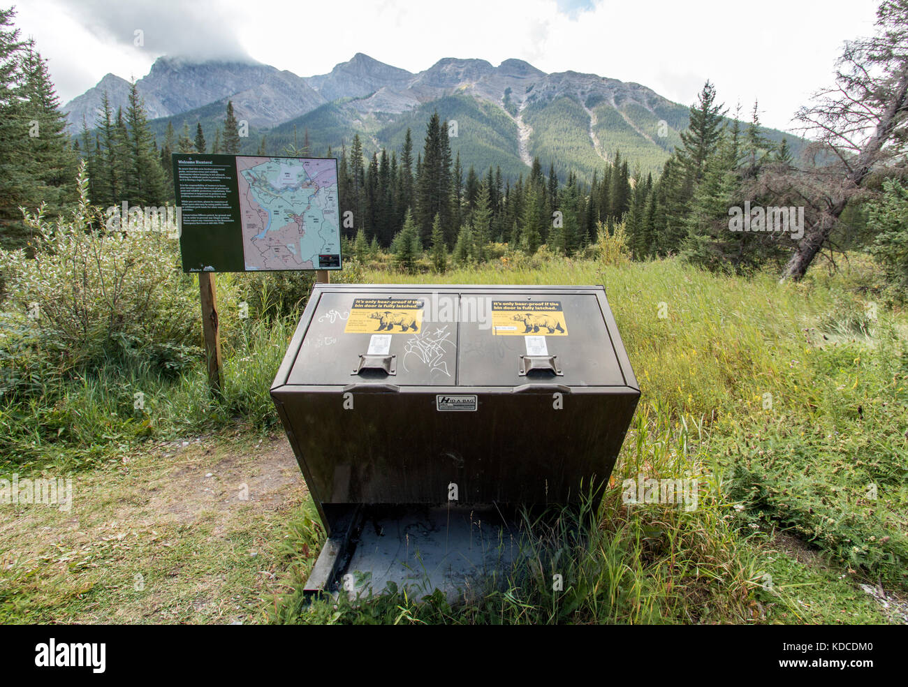 Bär - Nachweis Mülltonnen im Kananaskis Berge. Stockfoto