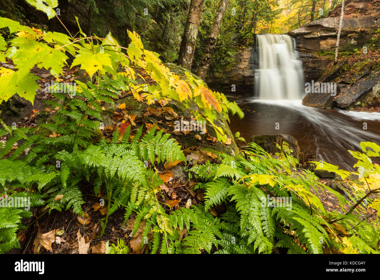 Herbst Laub und Farne Rahmen ungarischen fällt in der keweenaw Halbinsel von Michigan. Dover Creek über diesem schönen Wasserfall in der Nähe von calument Michi Stockfoto