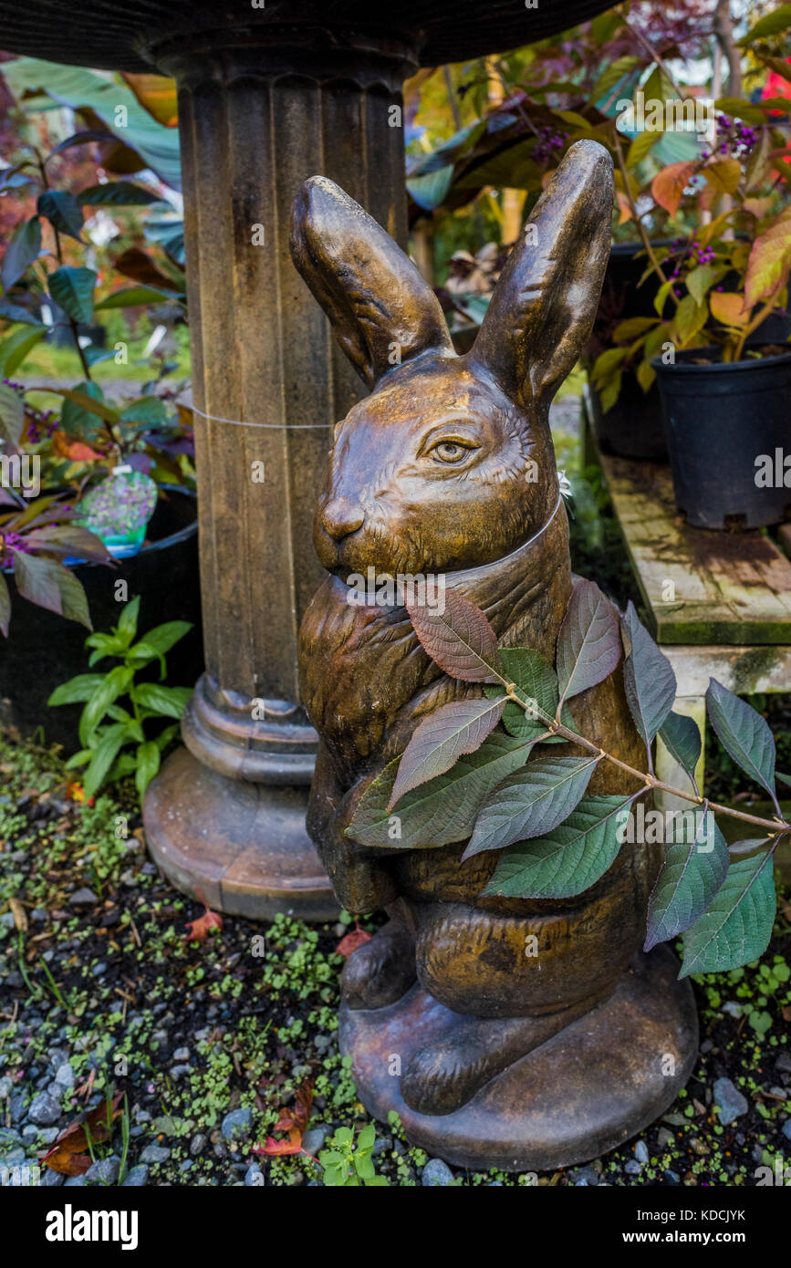 Garten Akzent Stockfotografie Alamy