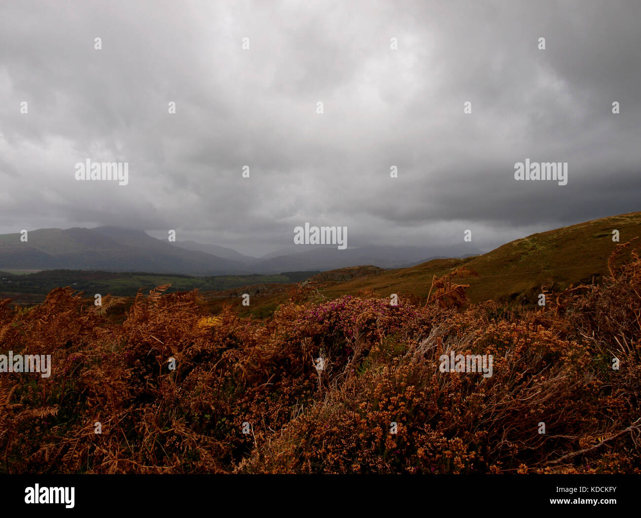 Herbst im Snowdonia National Park, North Wales, UK Stockfoto