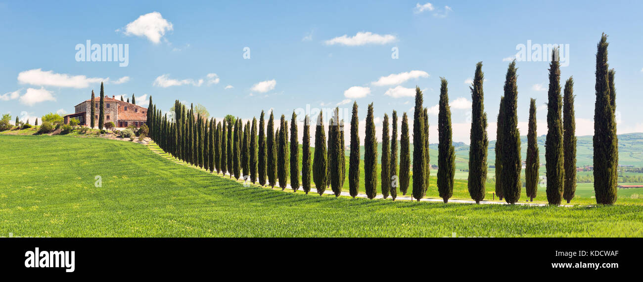 Klassische Ansicht der toskanischen Bauernhaus, grünes Feld und Cypress Tree Zeilen. Lange breite Banner Stockfoto