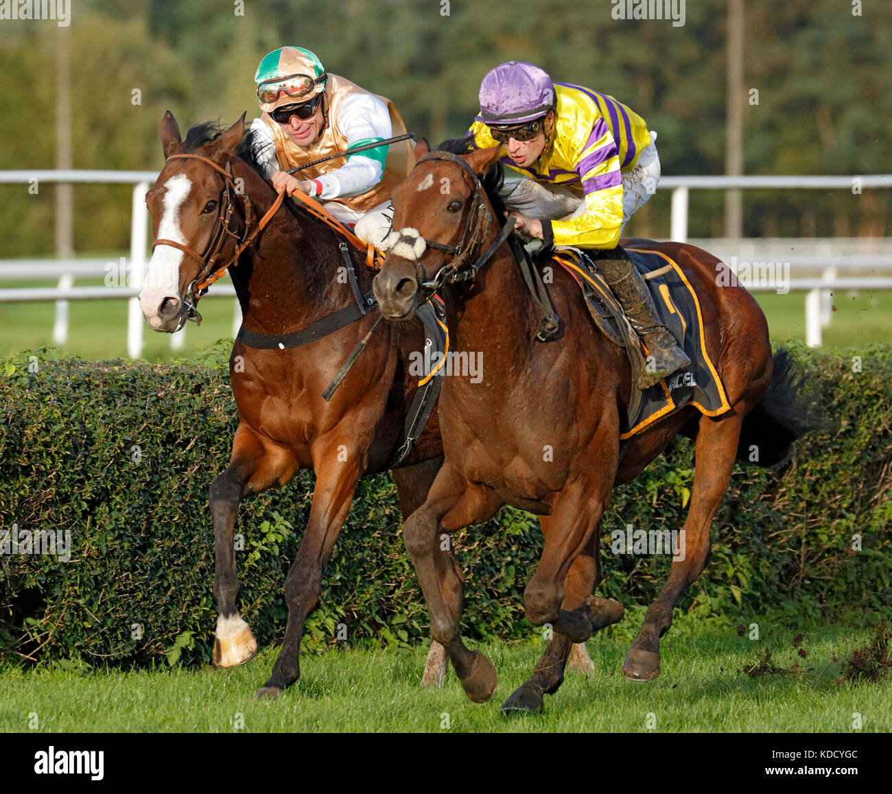 Sport, Pferdesport, Pferderennen, Pferderennen, Rennbahn Dortmund, Race Day 08.10.2017, 8 Rennen, links Jockey ein. Pietsch, Ziro, rechts Jockey d. porcu nie Reiten in Zweifel, Race Course, Rasen, galopp Racing, Pferde, Reiter, Reiter, Jockeys, d-Dortmund, d - Dortmund - wambel, Ruhrgebiet, Westfalen, Nordrhein - Westfalen, NRW Stockfoto