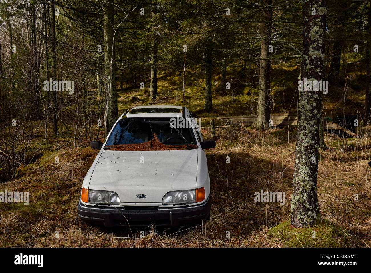 verlassenes Auto Stockfoto