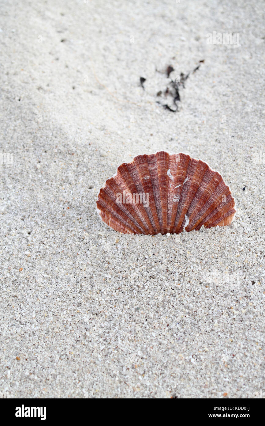 Hoedic Insel, Frankreich Stockfoto